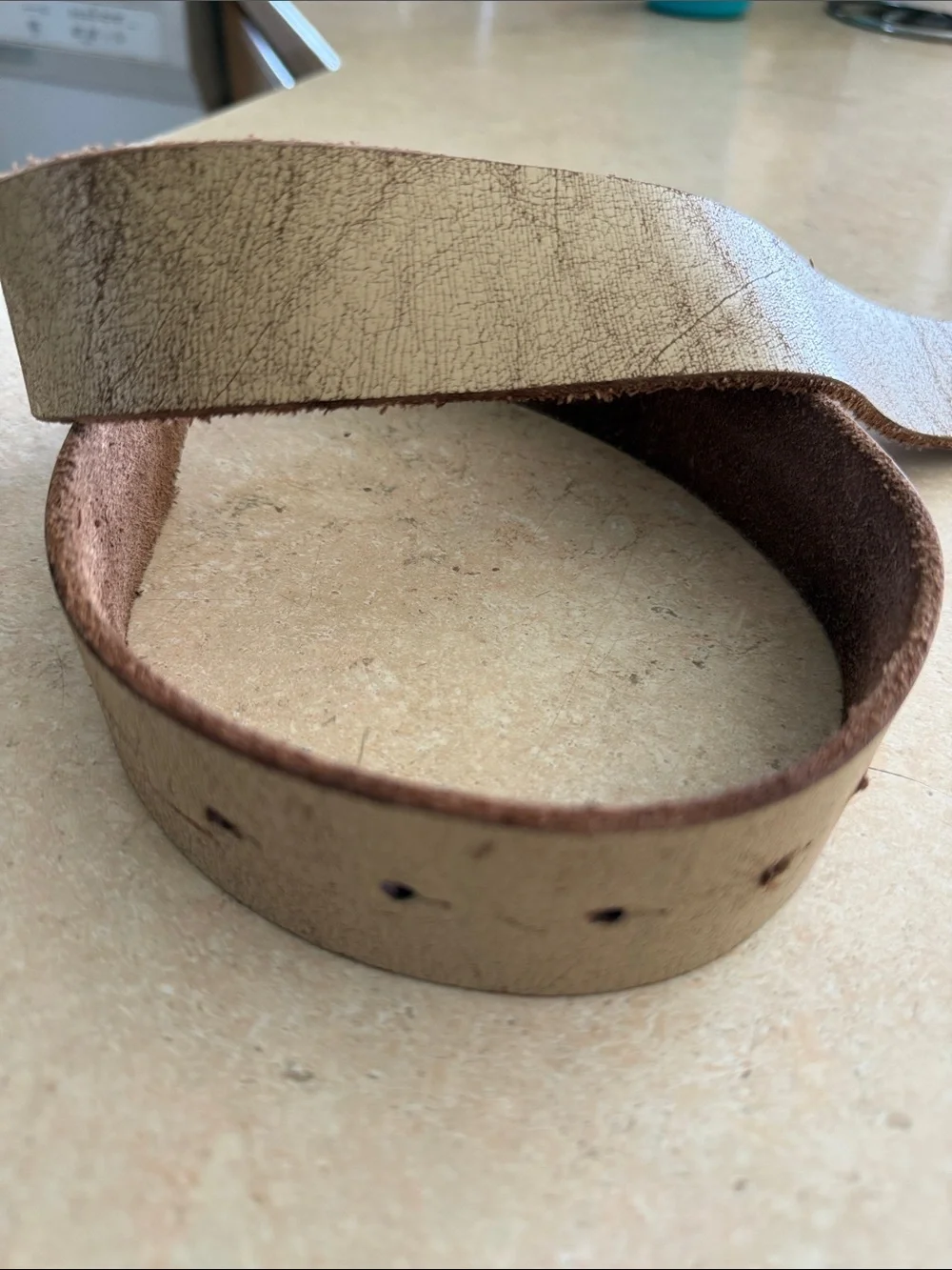 Studded leather belt